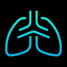 Fisioterapia Respiratoria